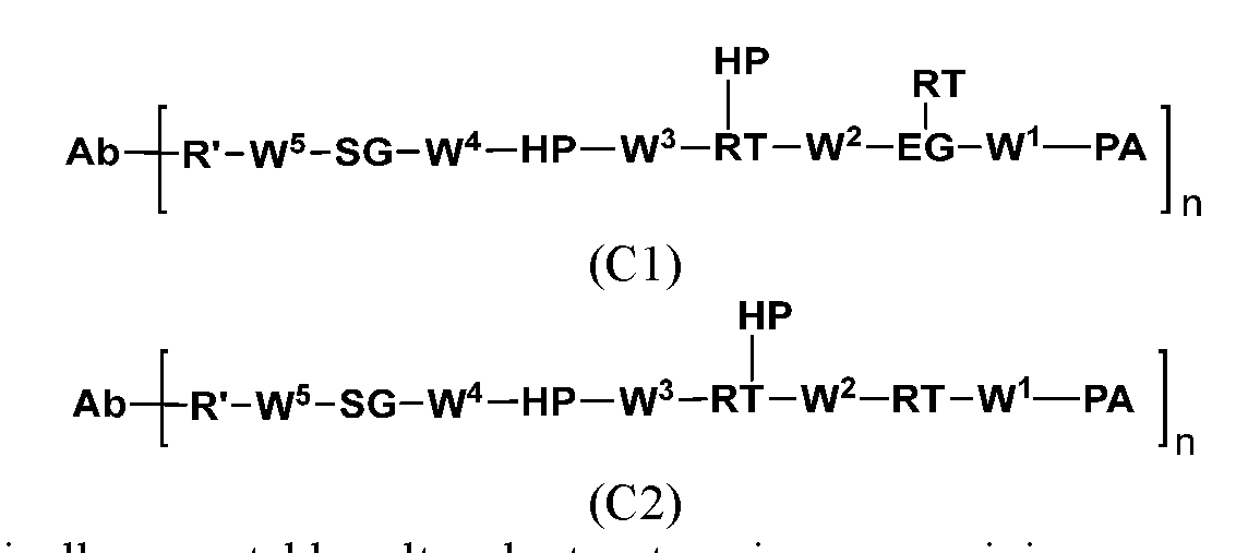 Figure imgf000040_0001