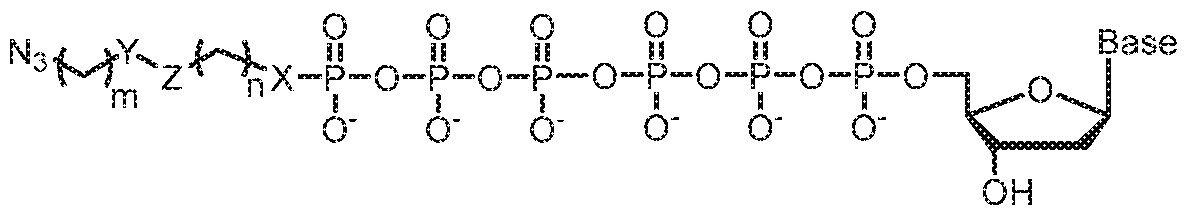 Figure imgf000042_0003