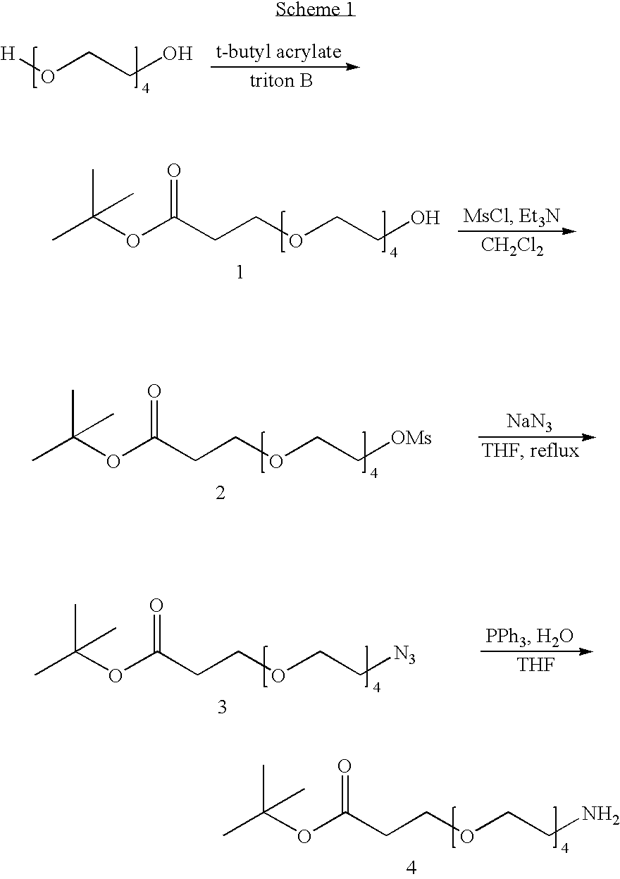 Figure US20060024317A1-20060202-C00116