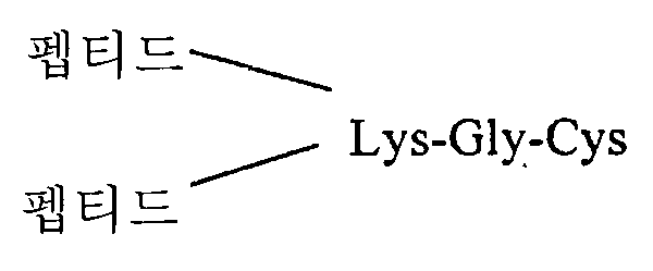 Figure 112009033412703-pat00016