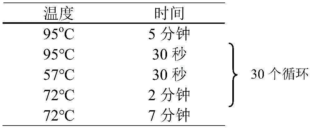 Figure BDA0002677199810000052