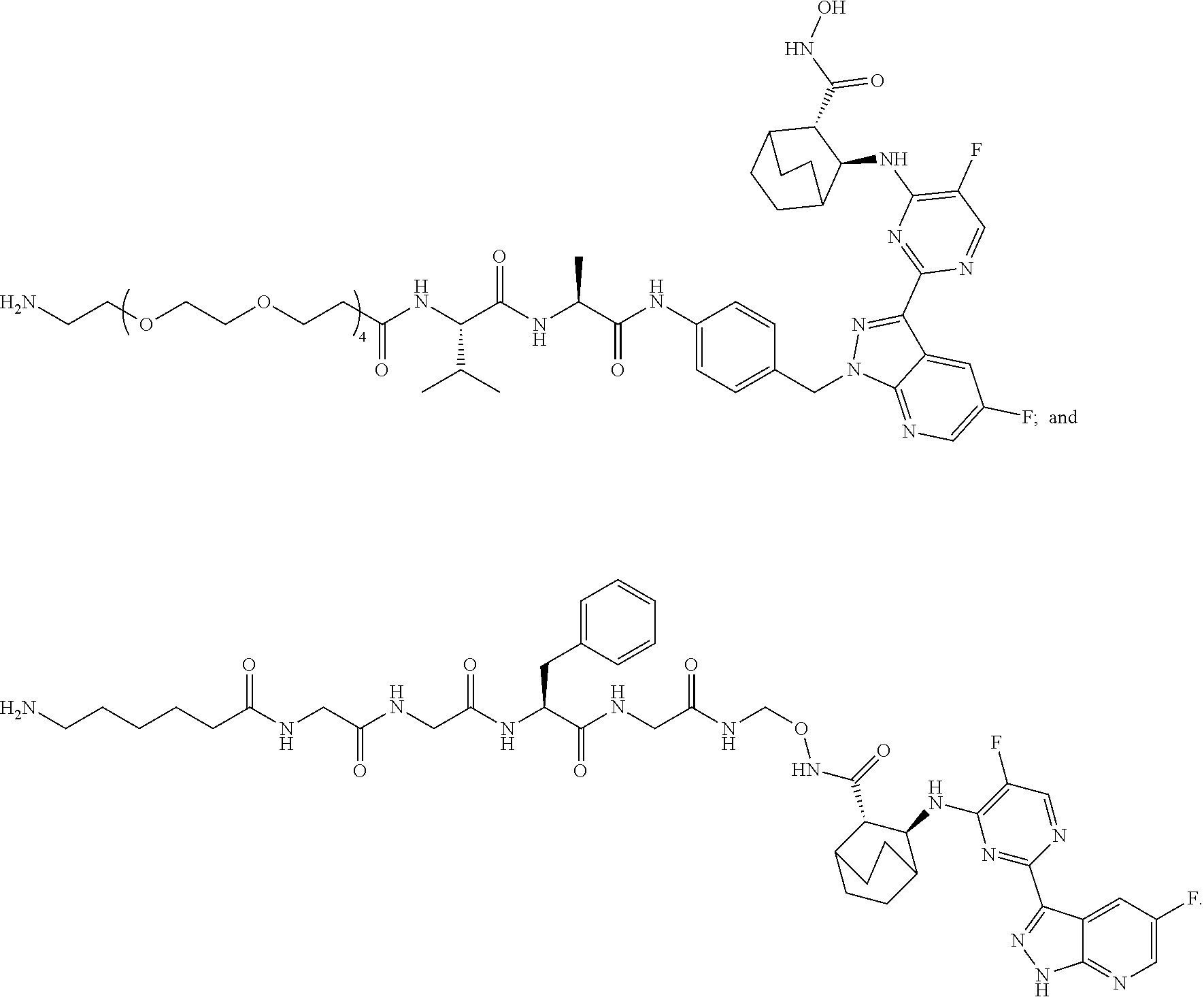 Figure US20250041433A1-20250206-C00232