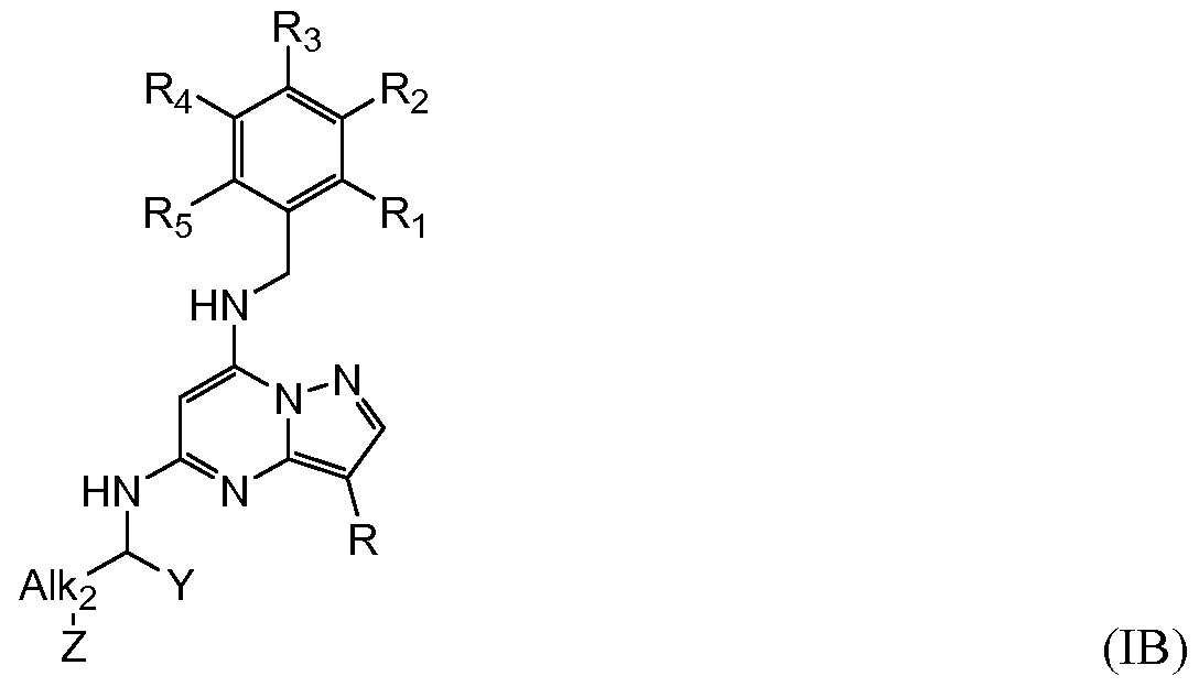 Figure imgf000018_0002