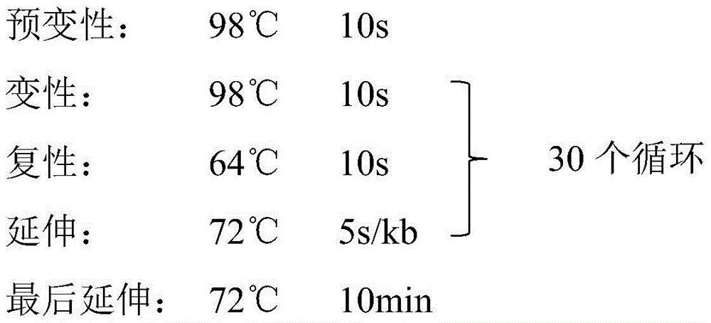 Figure BDA0002010928320000082