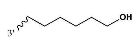 Figure 2022095757000169