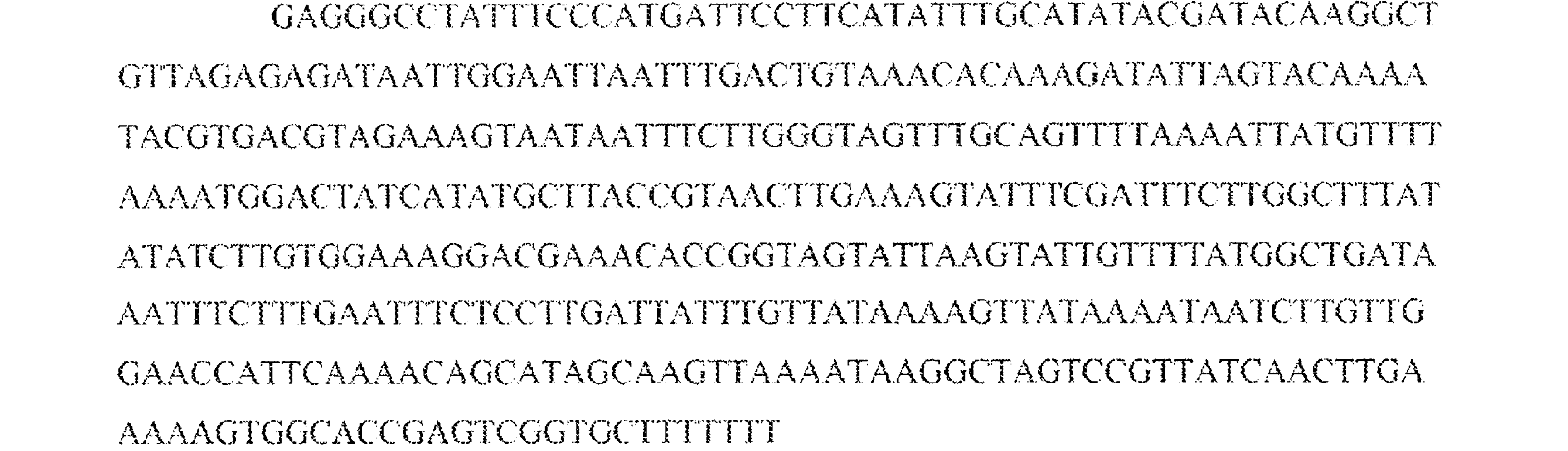 Figure 0007542681000022