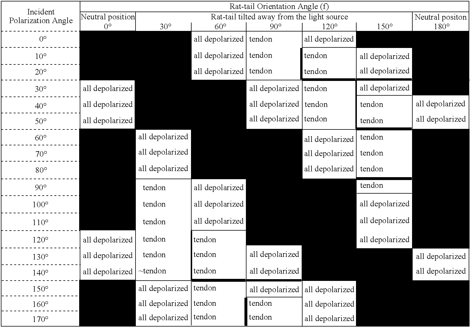 Figure US07289211-20071030-C00001