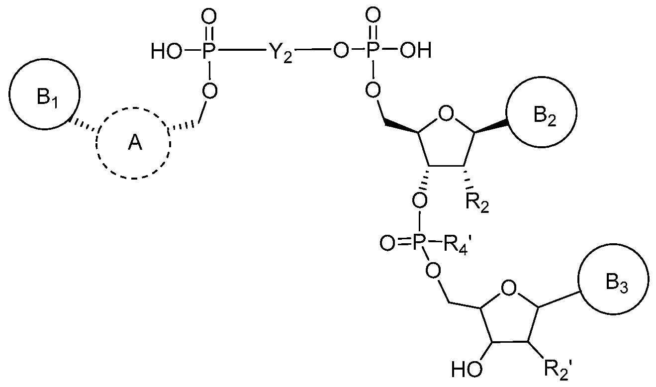 Figure imgf000011_0001