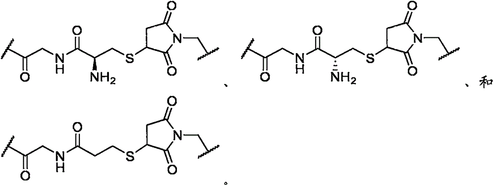 Figure BPA0000324887470002232