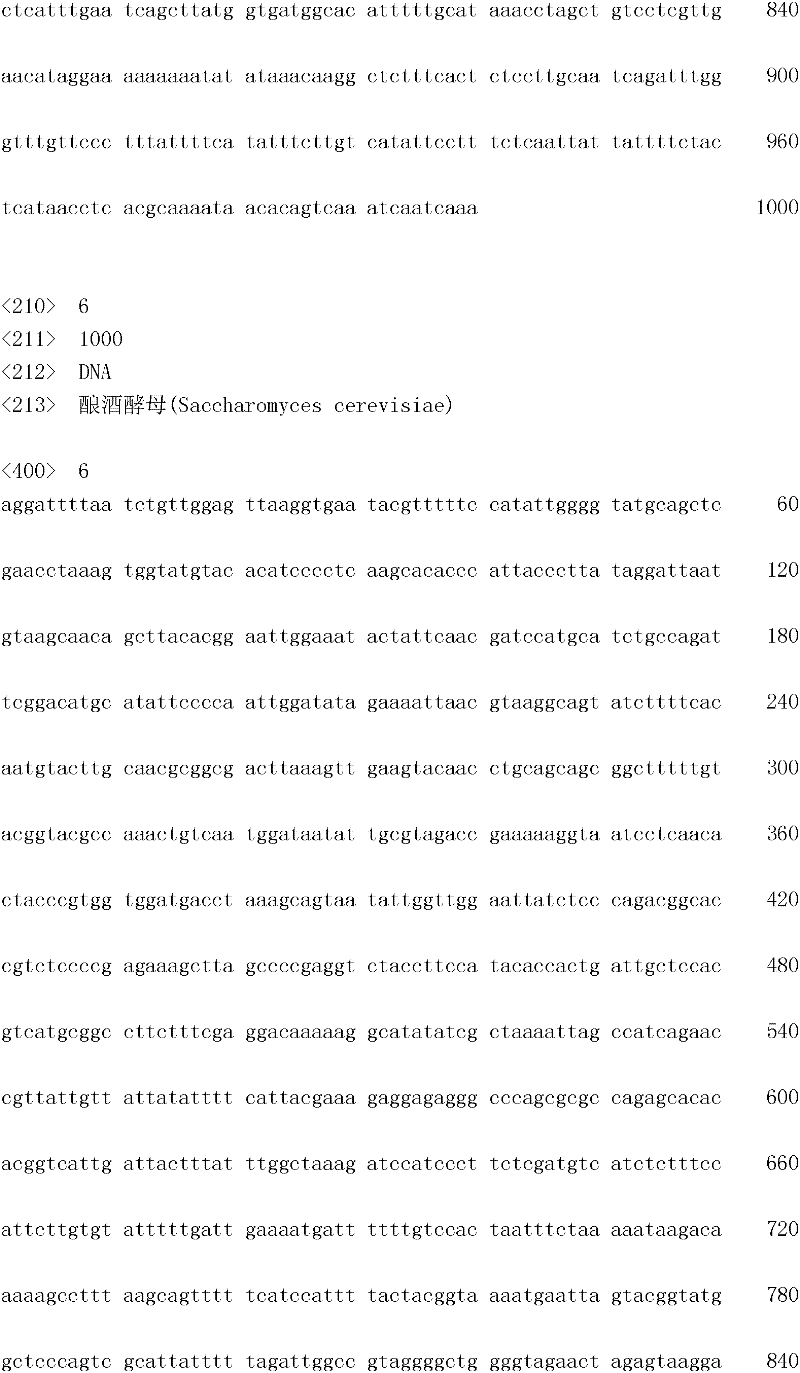 Figure IDA0000133447040000081