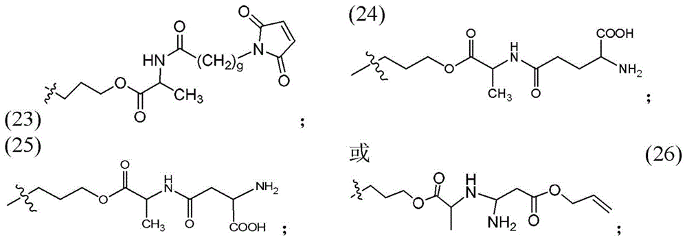 Figure BDA0003135424430001201