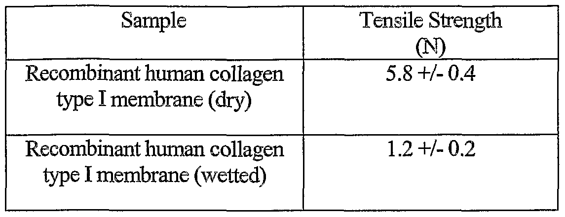 Figure imgf000019_0001