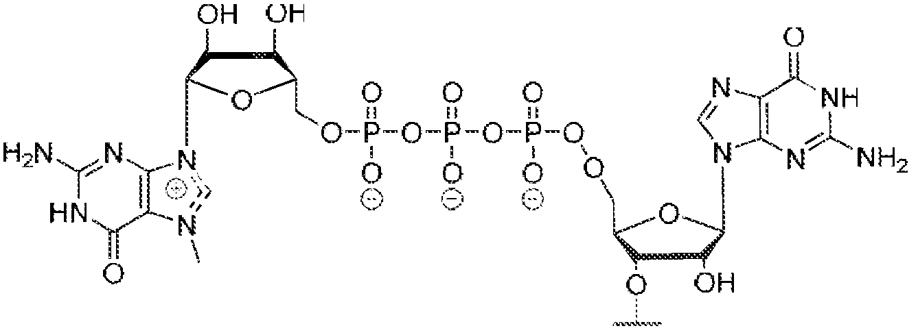 Figure imgf000063_0002