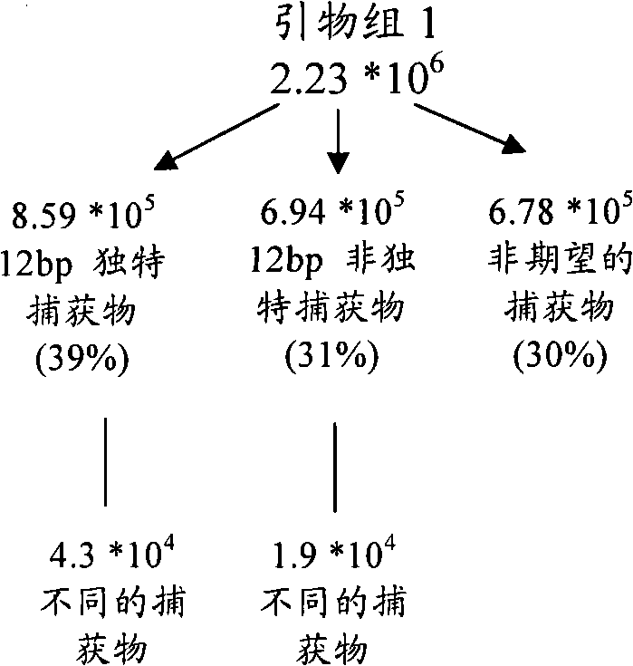 Figure G2008800080278D00921