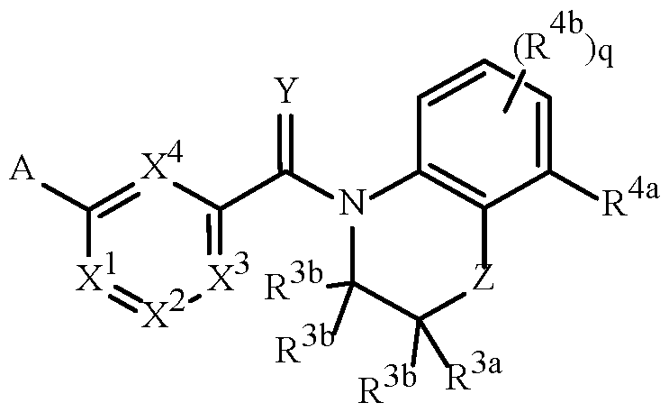 Figure imgf000002_0001