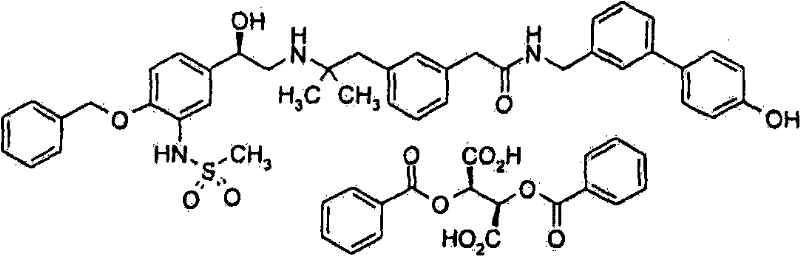 Figure BSA00000337359900441