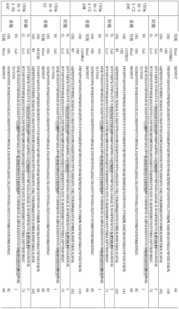 Figure BDA0002336612250001471