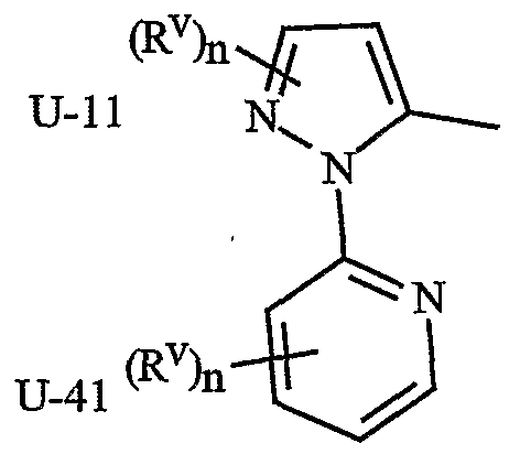 Figure imgf000016_0002