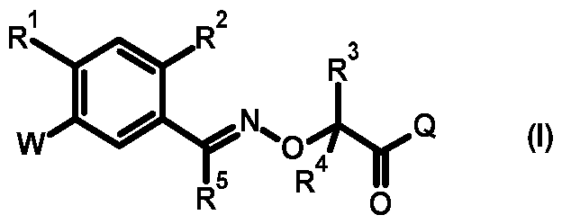 Figure imgf000003_0001