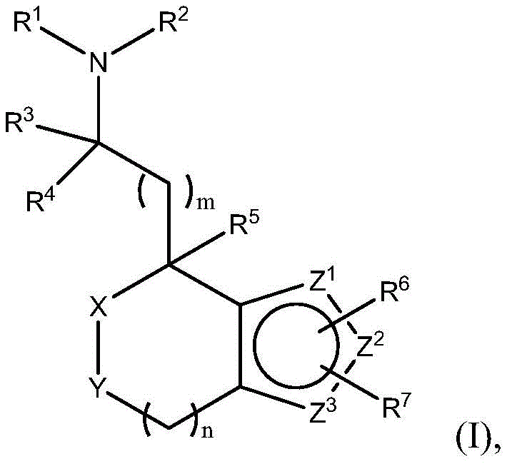 Figure BDA0001117744870000021