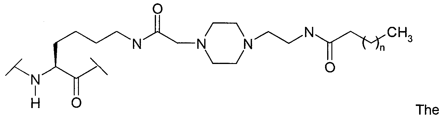 Figure imgf000014_0001
