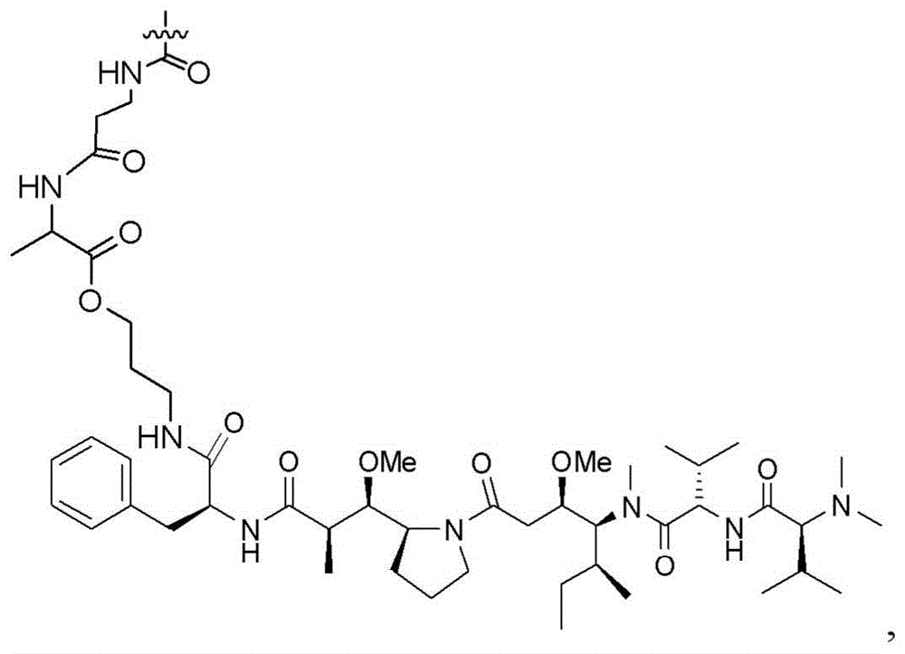 Figure BDA0003135424430002062
