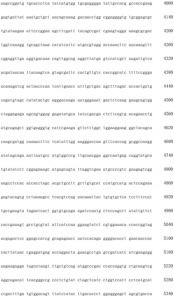 Figure IDA0002872168960000731