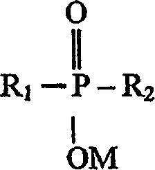 Figure A20048002408500061