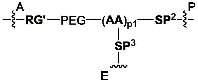 Figure BDA0003169092350000499