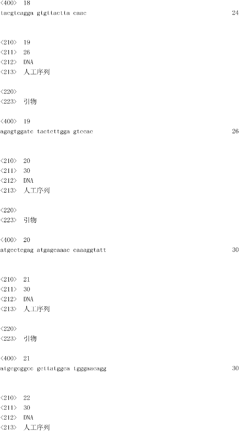 Figure IDA0000133447040000131