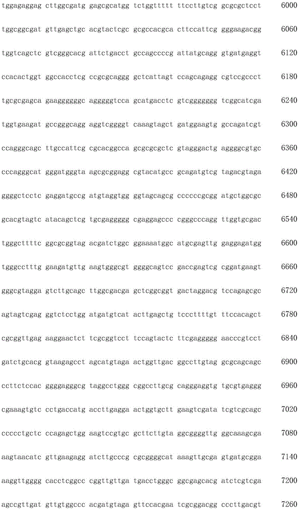 Figure IDA0002872168960000341