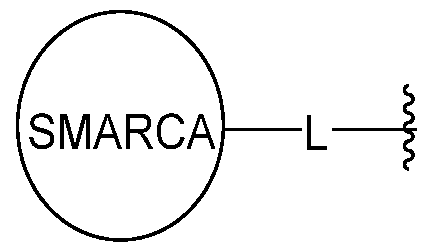 Figure imgf000114_0001