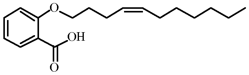 Figure imgf000091_0001