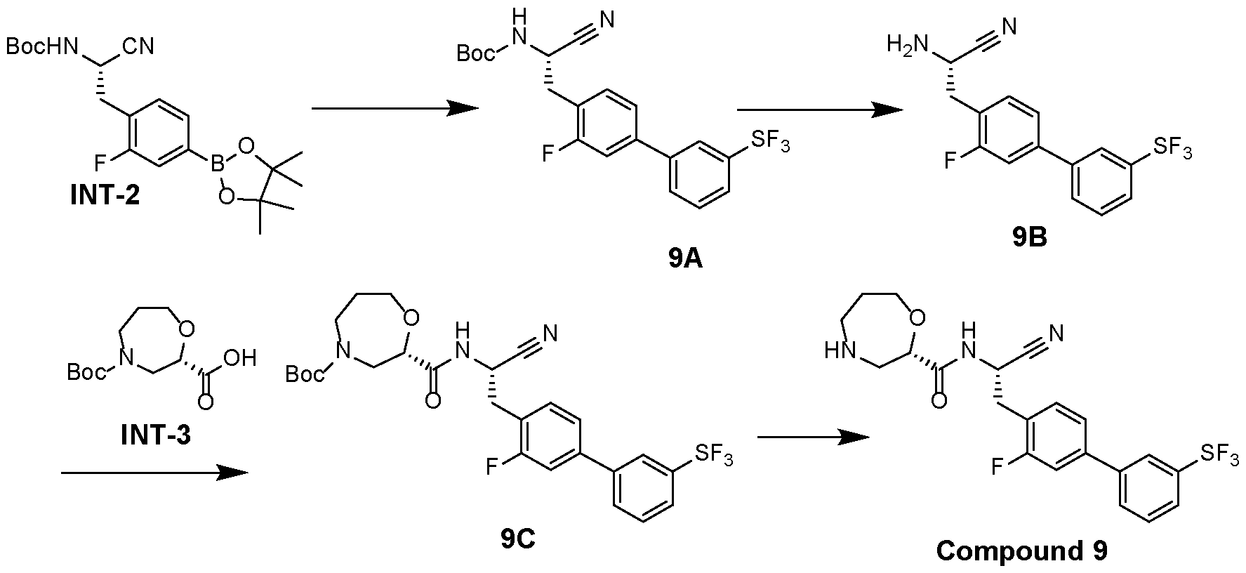 Figure imgf000061_0001
