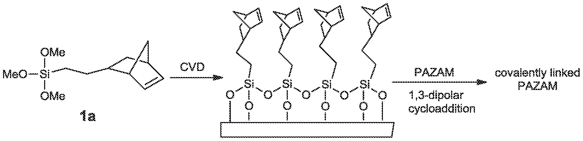 Figure imgf000047_0001