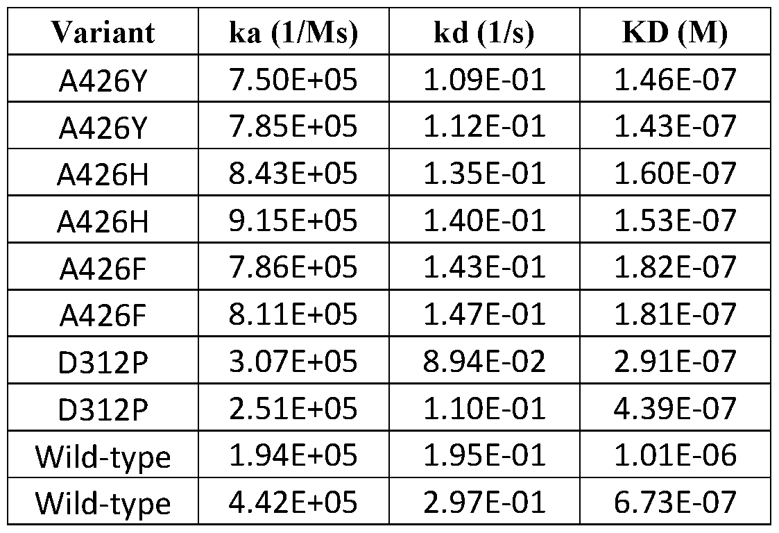 Figure imgf000081_0001
