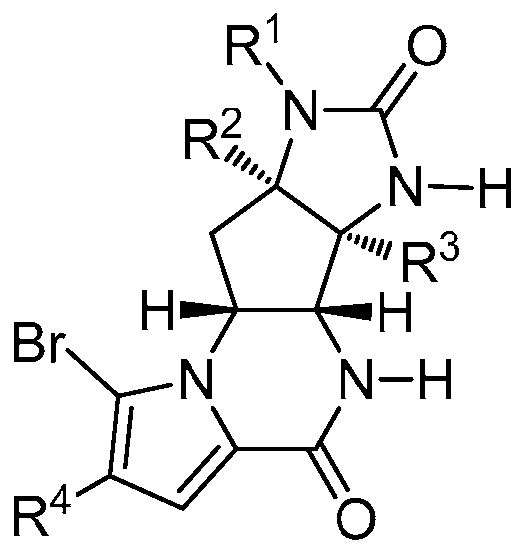 Figure imgf000004_0001