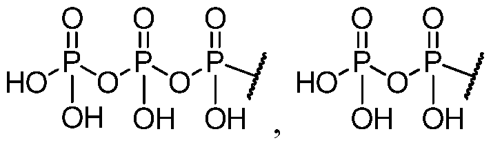 Figure imgf000036_0003