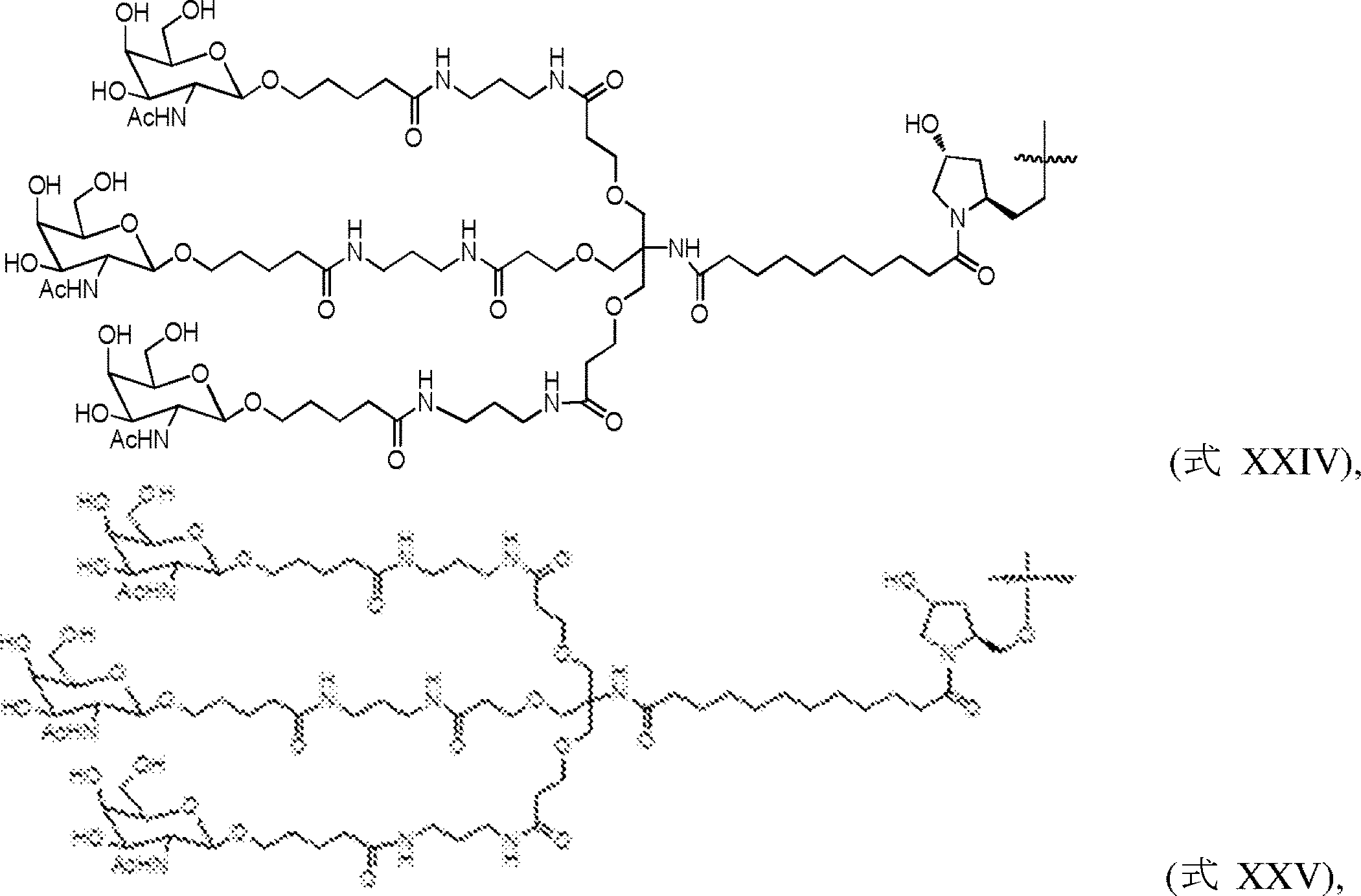 Figure 2022033857000044