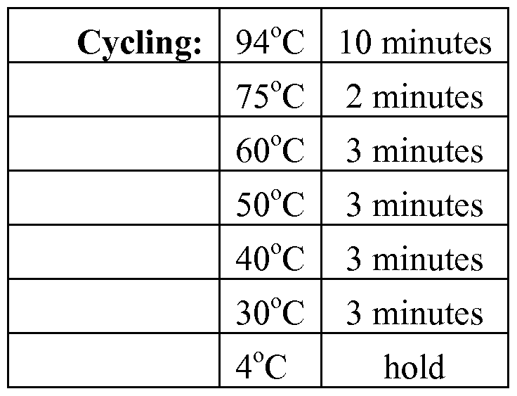 Figure imgf000034_0002
