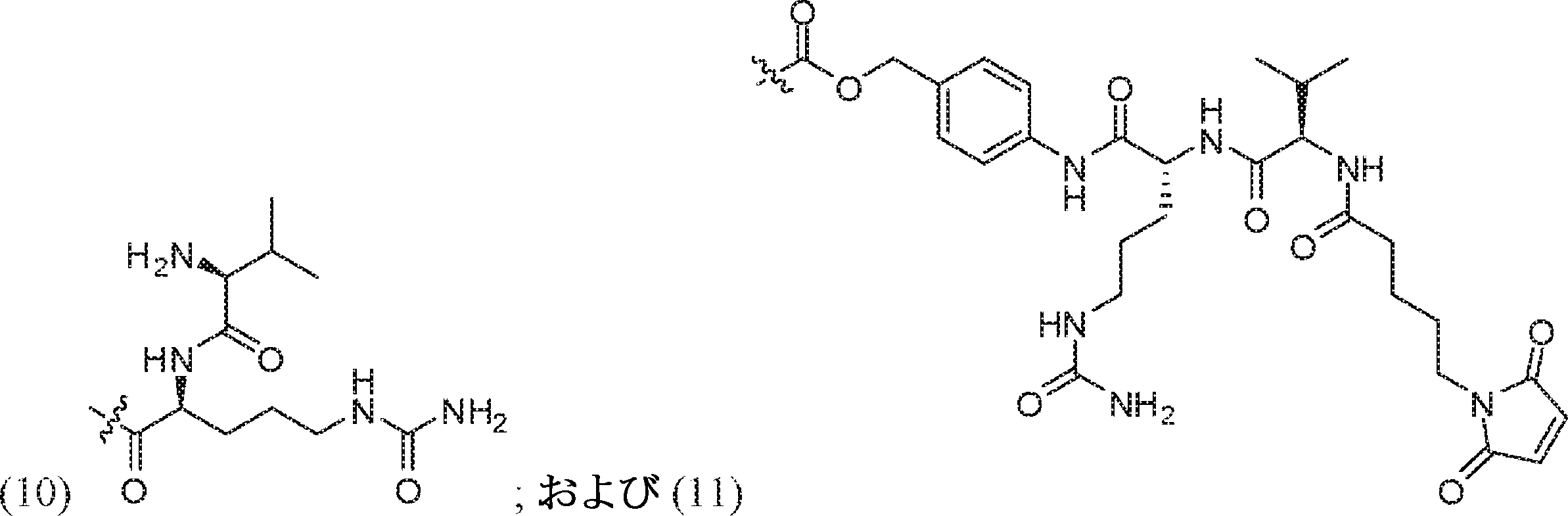 Figure 0007320458000047