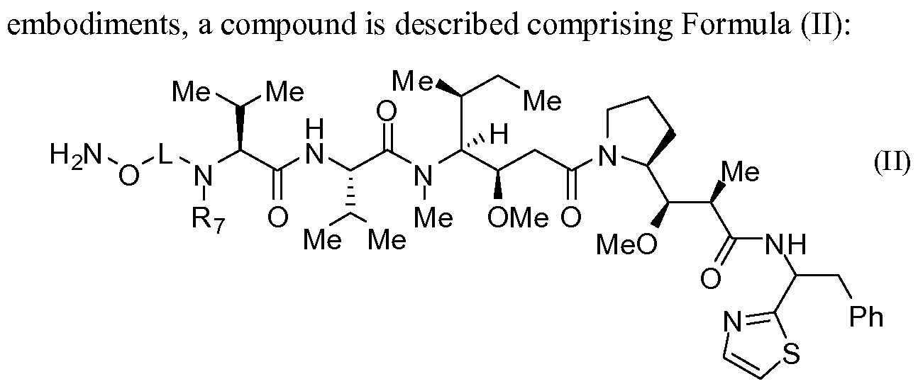Figure imgf000004_0003