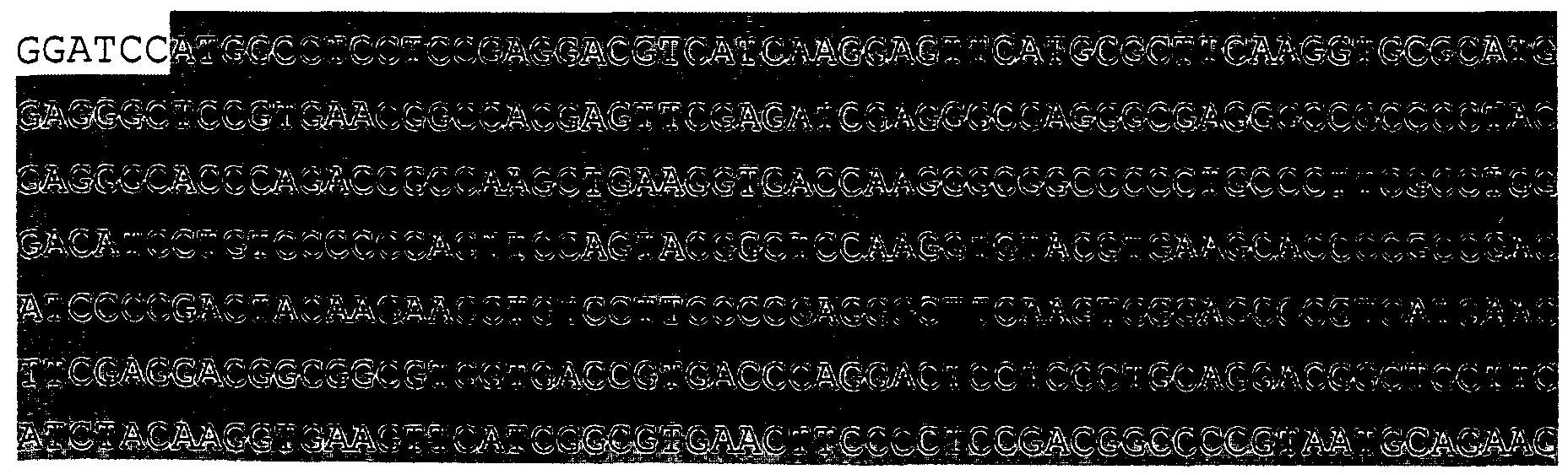 Figure imgf000058_0001