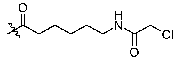 Figure imgf000209_0001