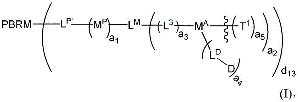 Figure BDA0003135424430000381