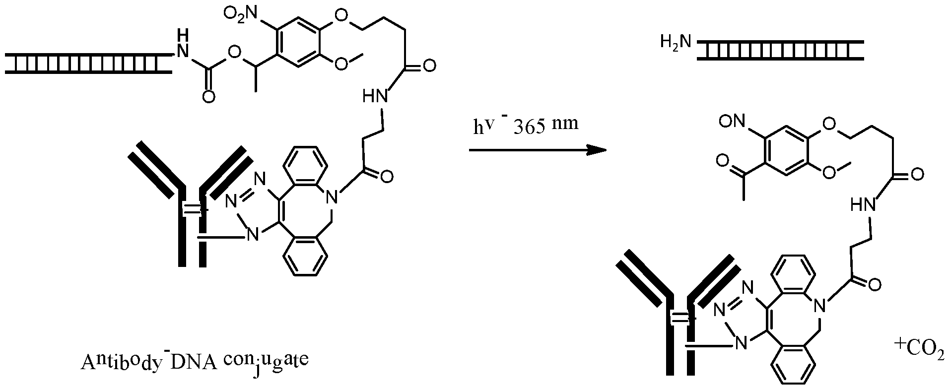 Figure imgf000163_0003