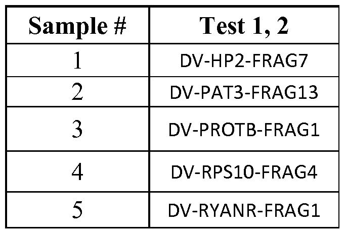 Figure imgf000078_0001