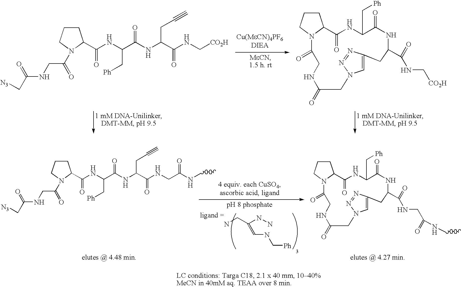 Figure US20050158765A1-20050721-C00028