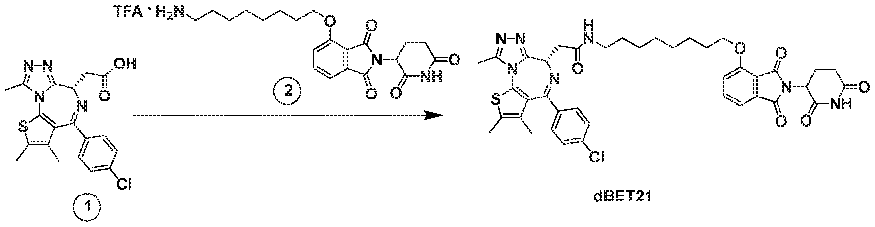 Figure imgf000261_0001