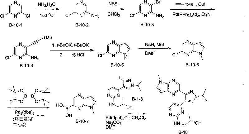 Figure GPA00001078665901041